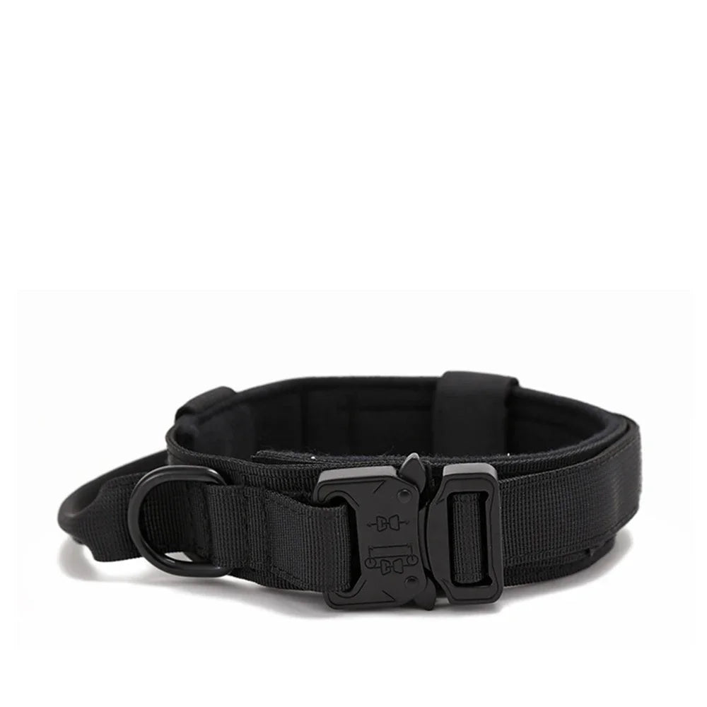 Bentley Tactical Dog Collar