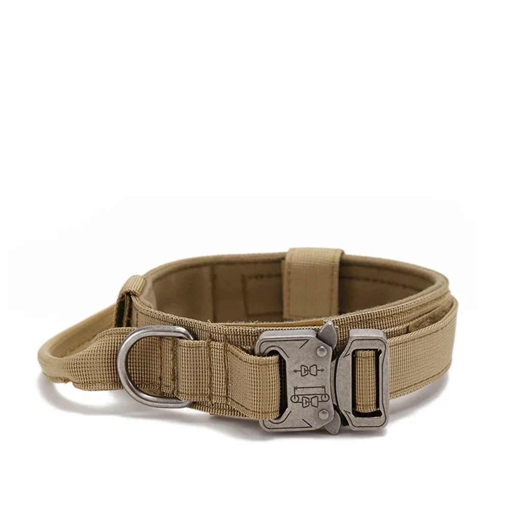 Bentley Tactical Dog Collar