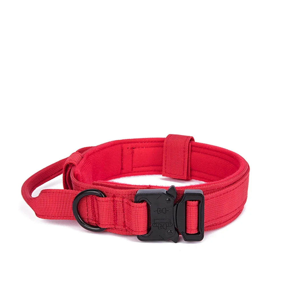 Bentley Tactical Dog Collar