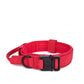 Bentley Tactical Dog Collar
