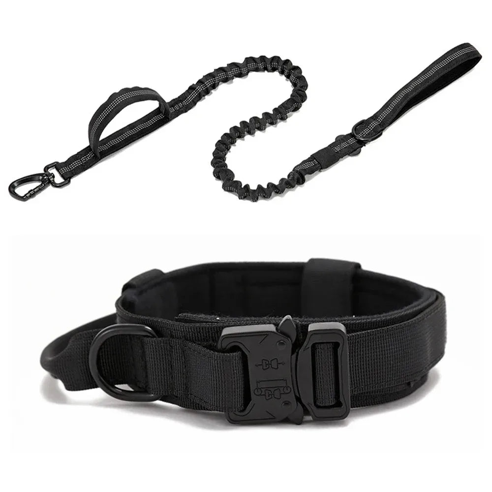 Bentley Tactical Dog Collar
