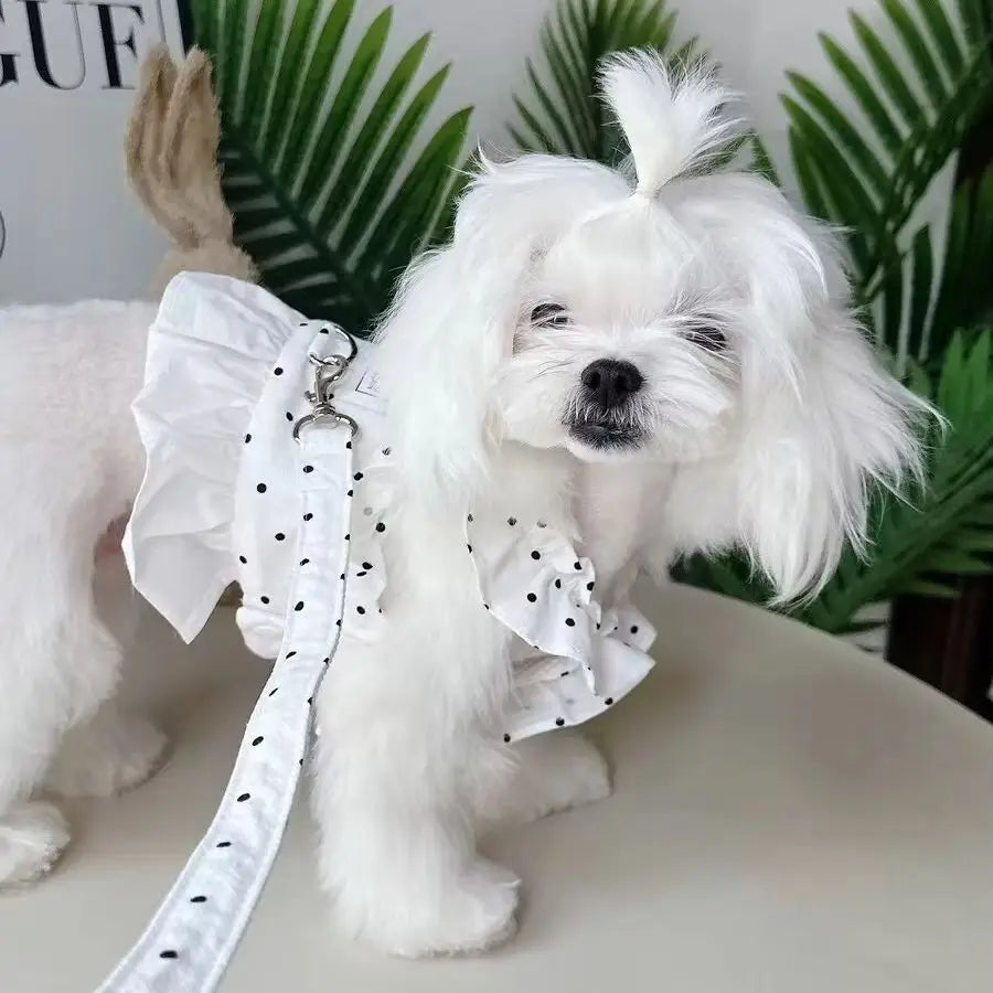 Penny White Polka Dot Dog Harnesses