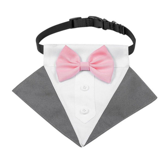 Pistol Tuxedo Collar