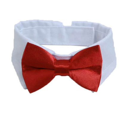 Debo Bow and Tie